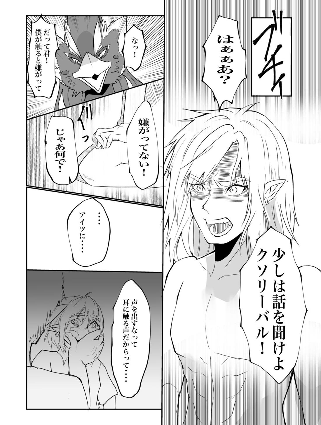 君が壊した世界 番外編【ゼルダの伝説/リバリン】 page 13