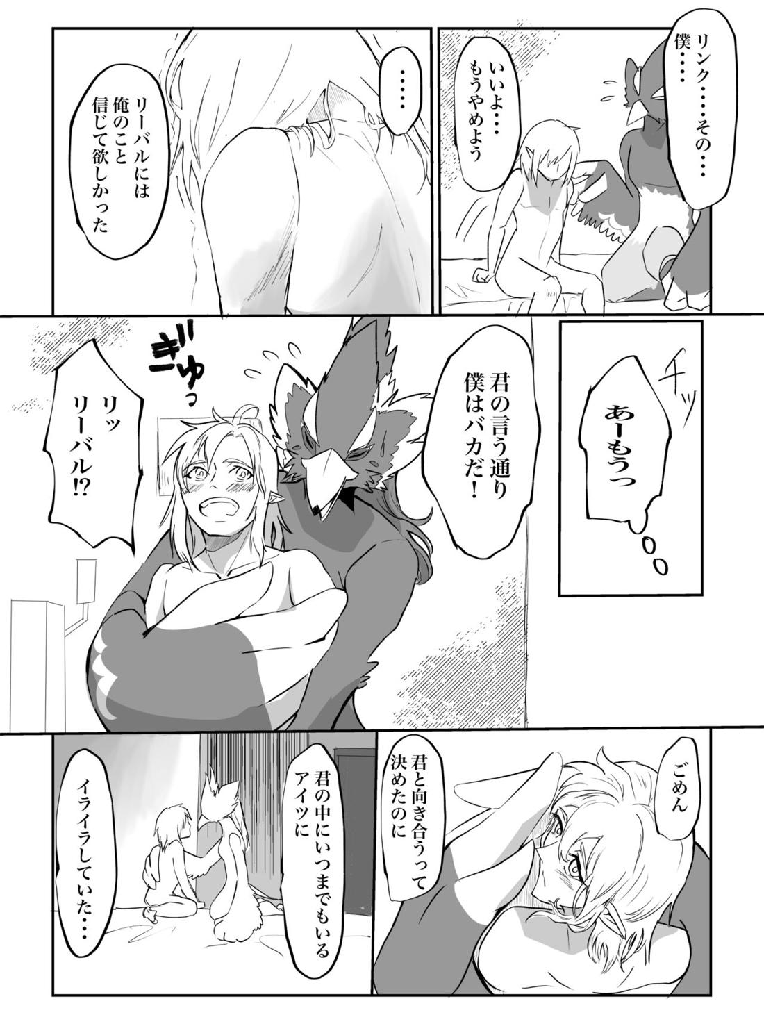 君が壊した世界 番外編【ゼルダの伝説/リバリン】 page 14