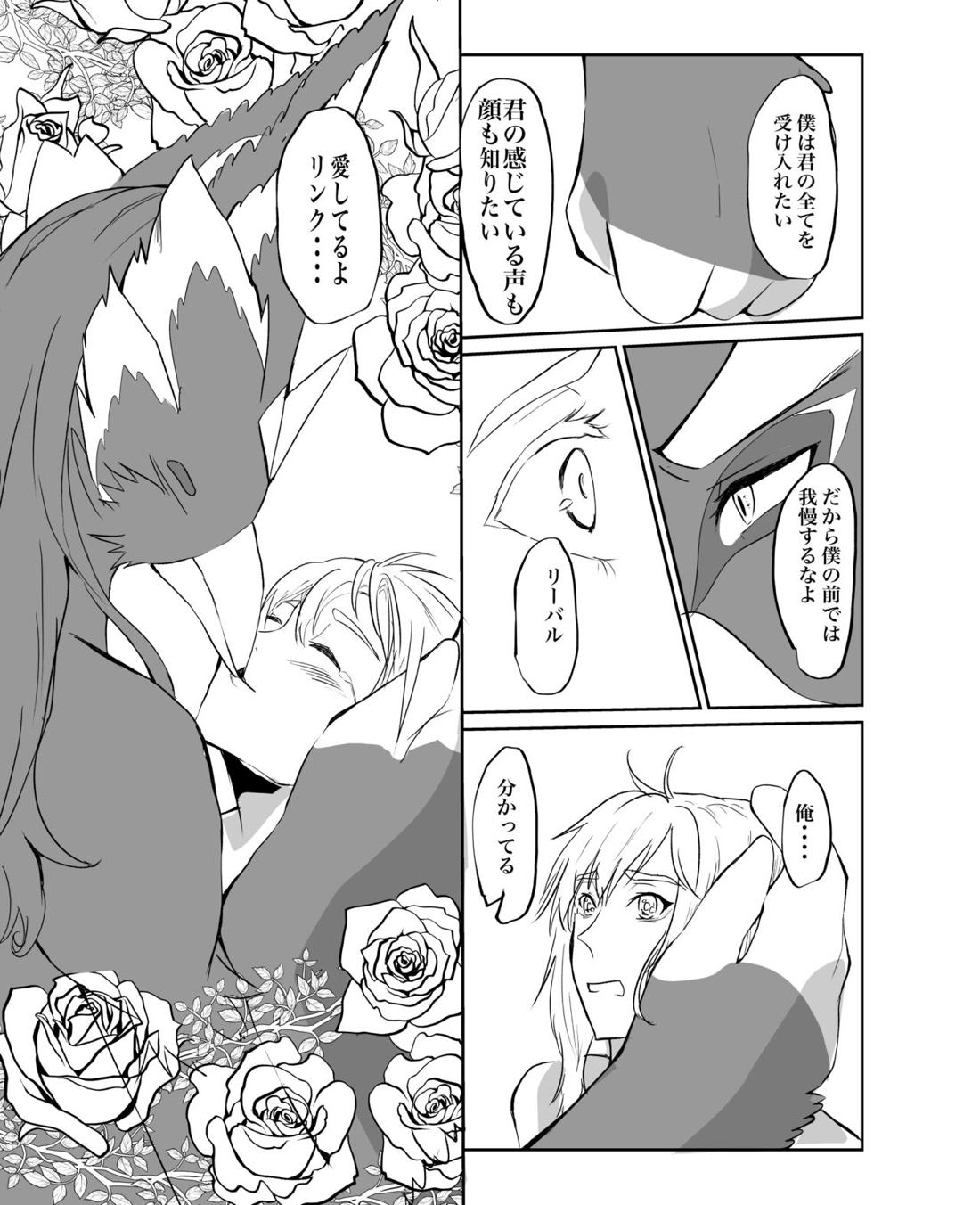 君が壊した世界 番外編【ゼルダの伝説/リバリン】 page 15