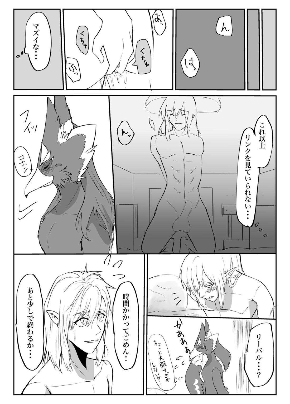 君が壊した世界 番外編【ゼルダの伝説/リバリン】 page 16