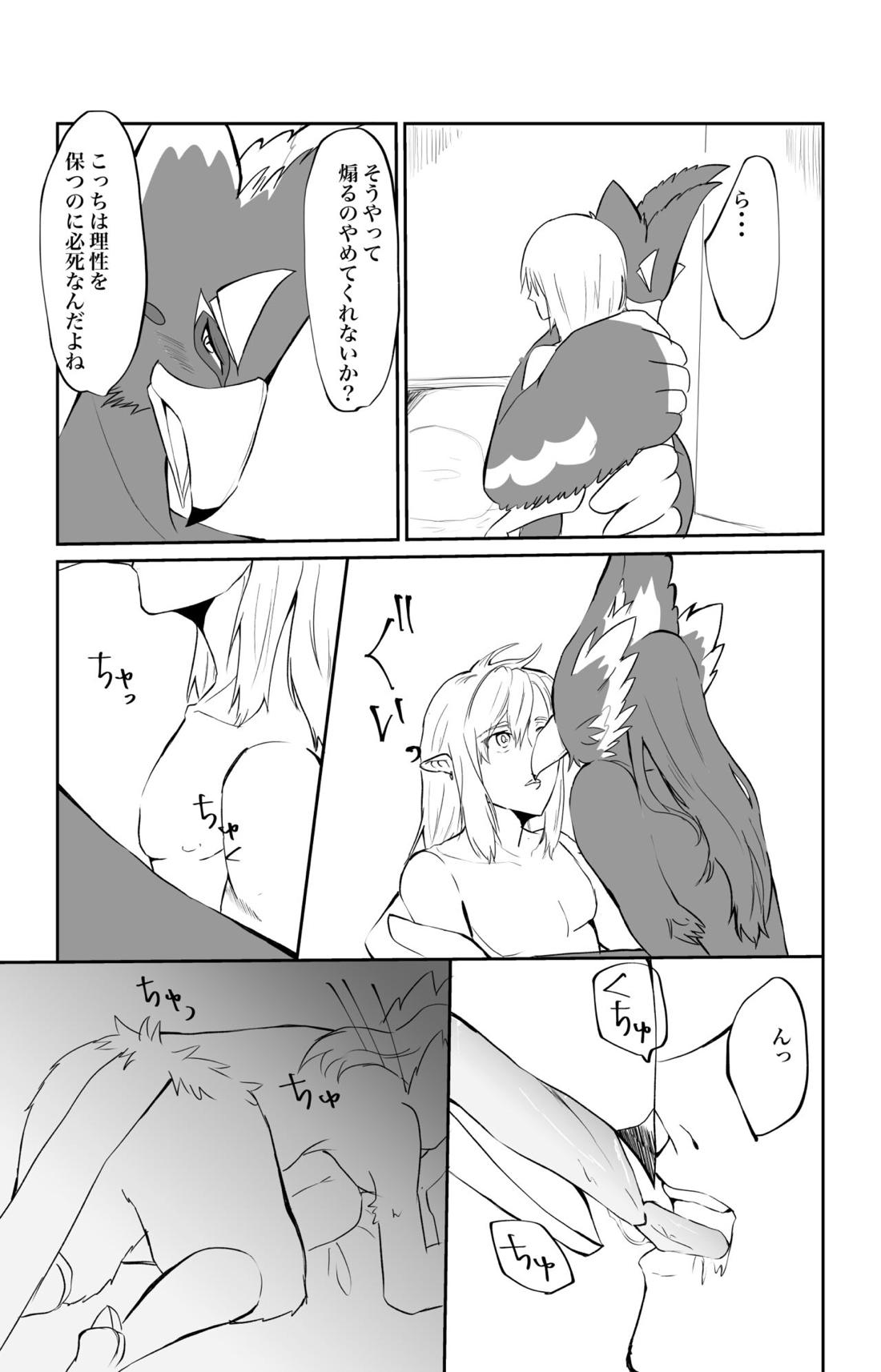 君が壊した世界 番外編【ゼルダの伝説/リバリン】 page 17