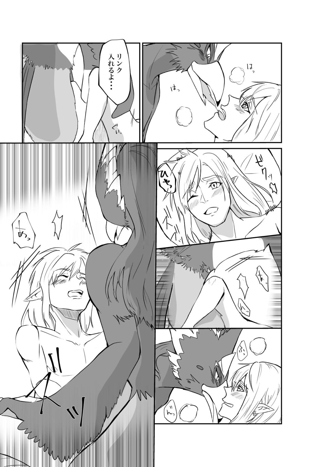 君が壊した世界 番外編【ゼルダの伝説/リバリン】 page 18