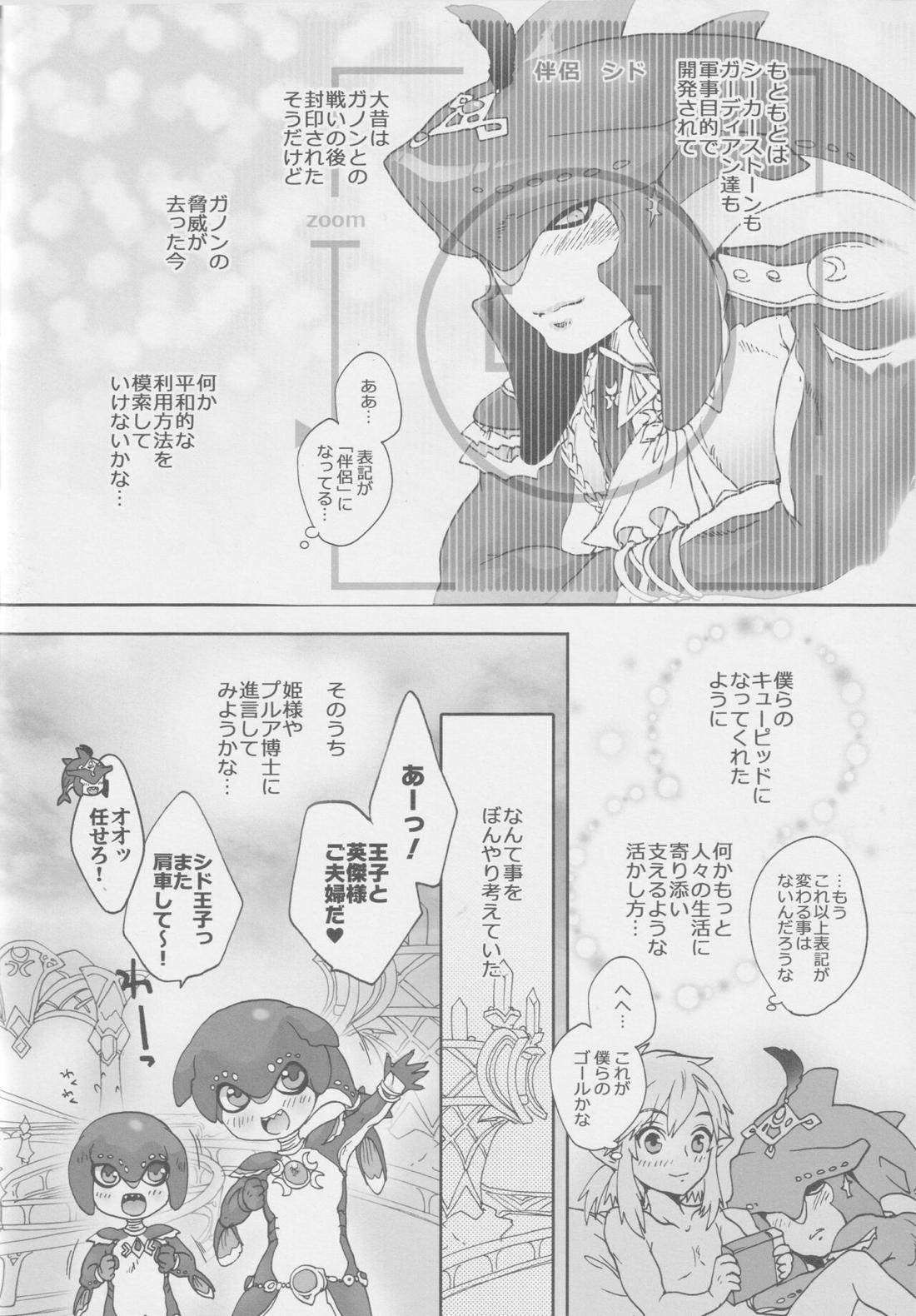 シド王子危機イッパツ！【ゼルダの伝説/リンシド】 page 11