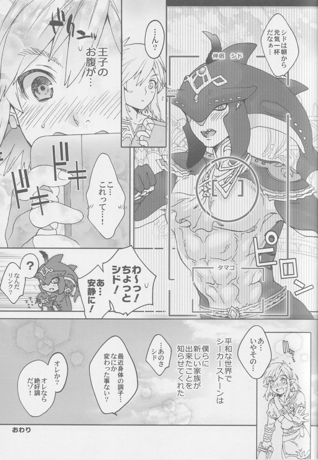 シド王子危機イッパツ！【ゼルダの伝説/リンシド】 page 12