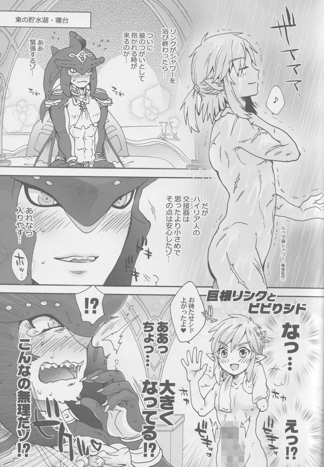 シド王子危機イッパツ！【ゼルダの伝説/リンシド】 page 14