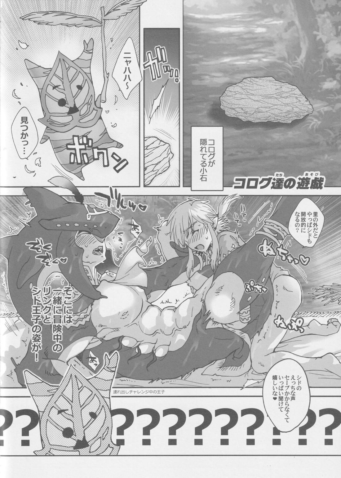 シド王子危機イッパツ！【ゼルダの伝説/リンシド】 page 20