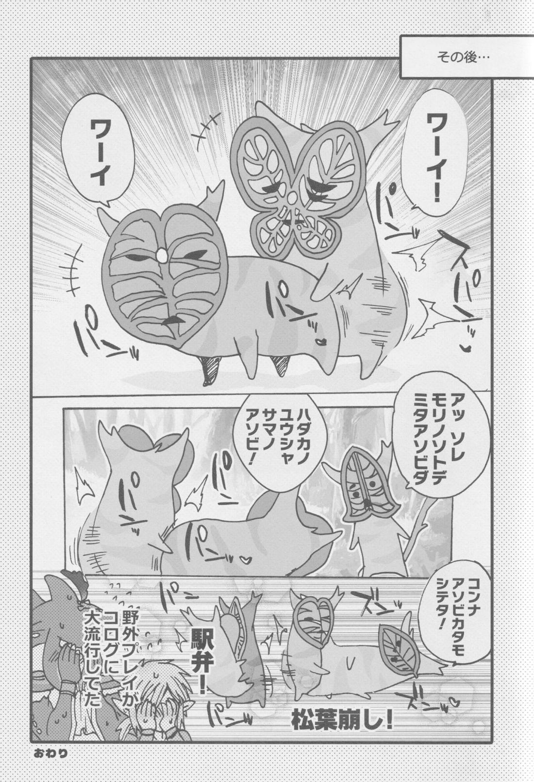 シド王子危機イッパツ！【ゼルダの伝説/リンシド】 page 21