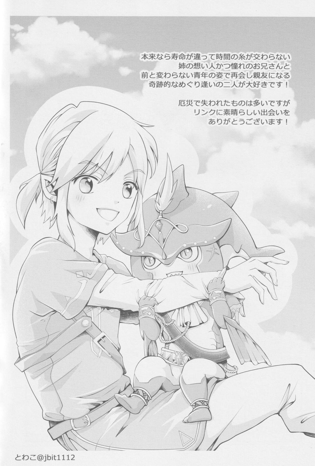 シド王子危機イッパツ！【ゼルダの伝説/リンシド】 page 22