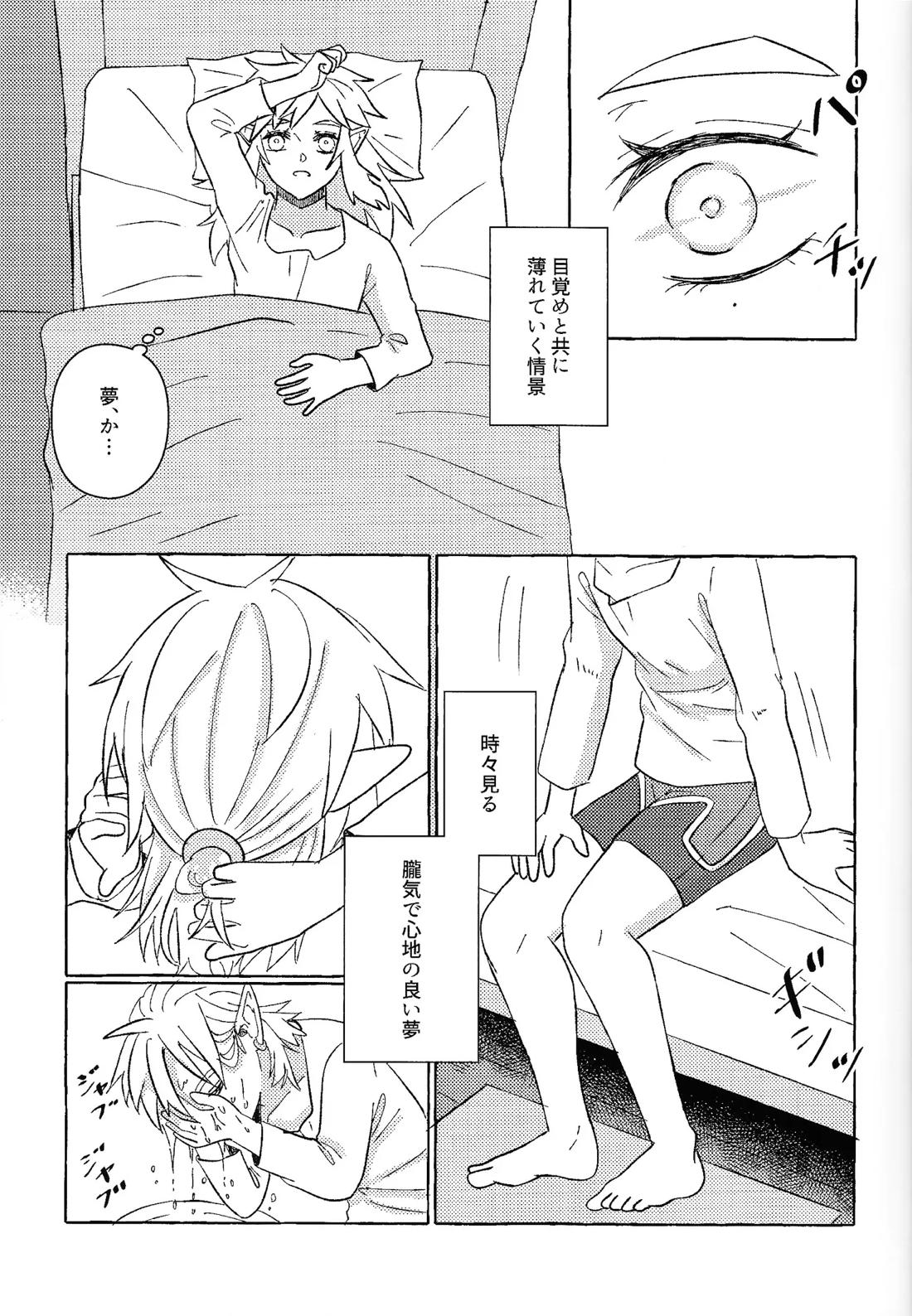或るアイの話【ゼルダの伝説/リバリン】 page 18
