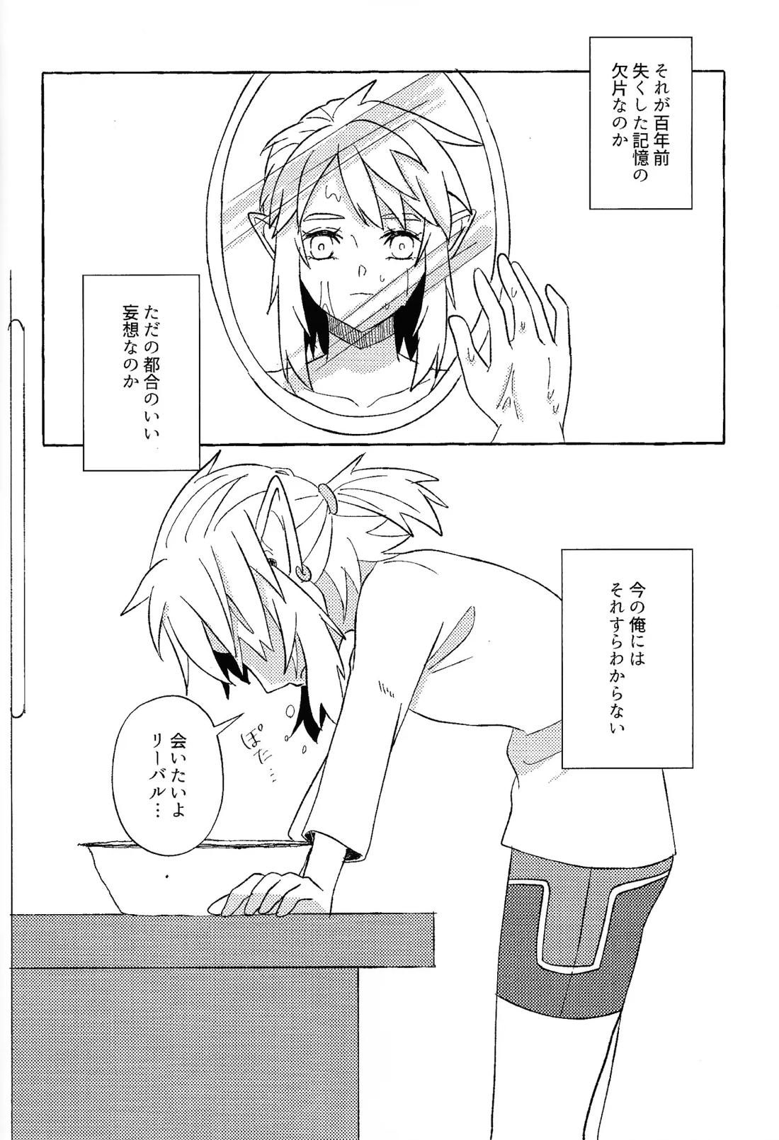 或るアイの話【ゼルダの伝説/リバリン】 page 19