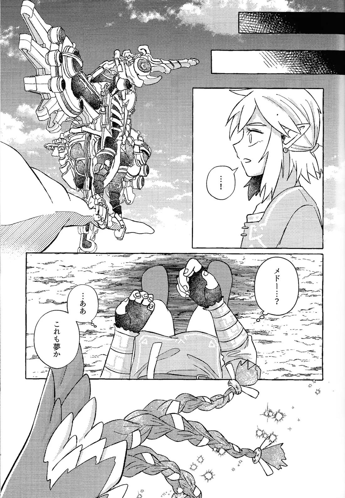 或るアイの話【ゼルダの伝説/リバリン】 page 20