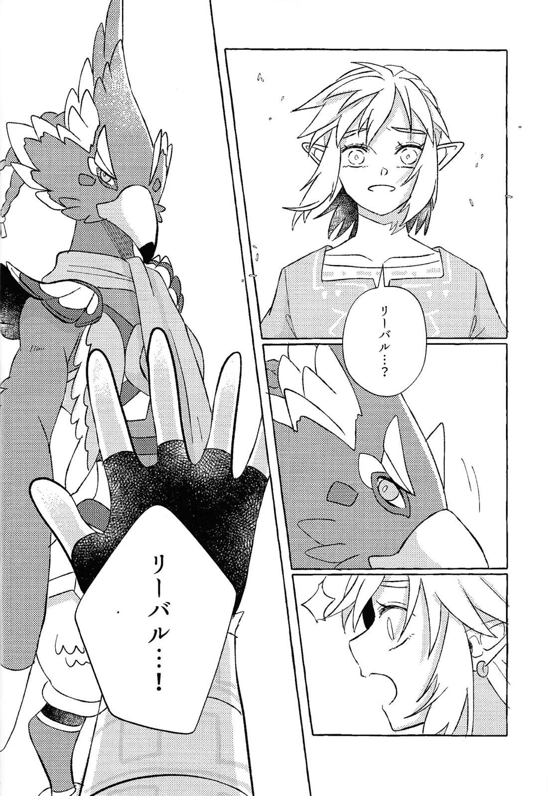 或るアイの話【ゼルダの伝説/リバリン】 page 21