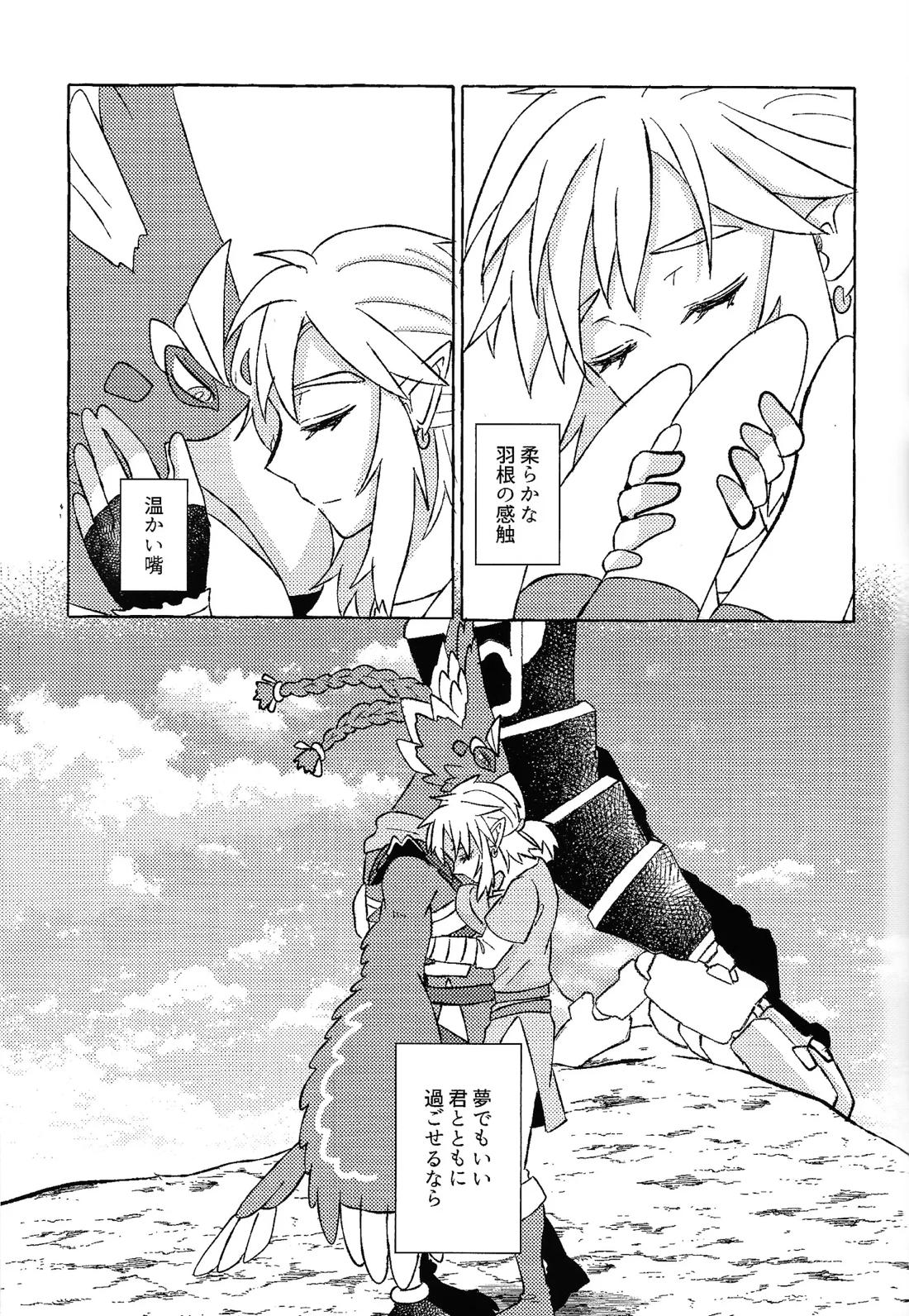 或るアイの話【ゼルダの伝説/リバリン】 page 22