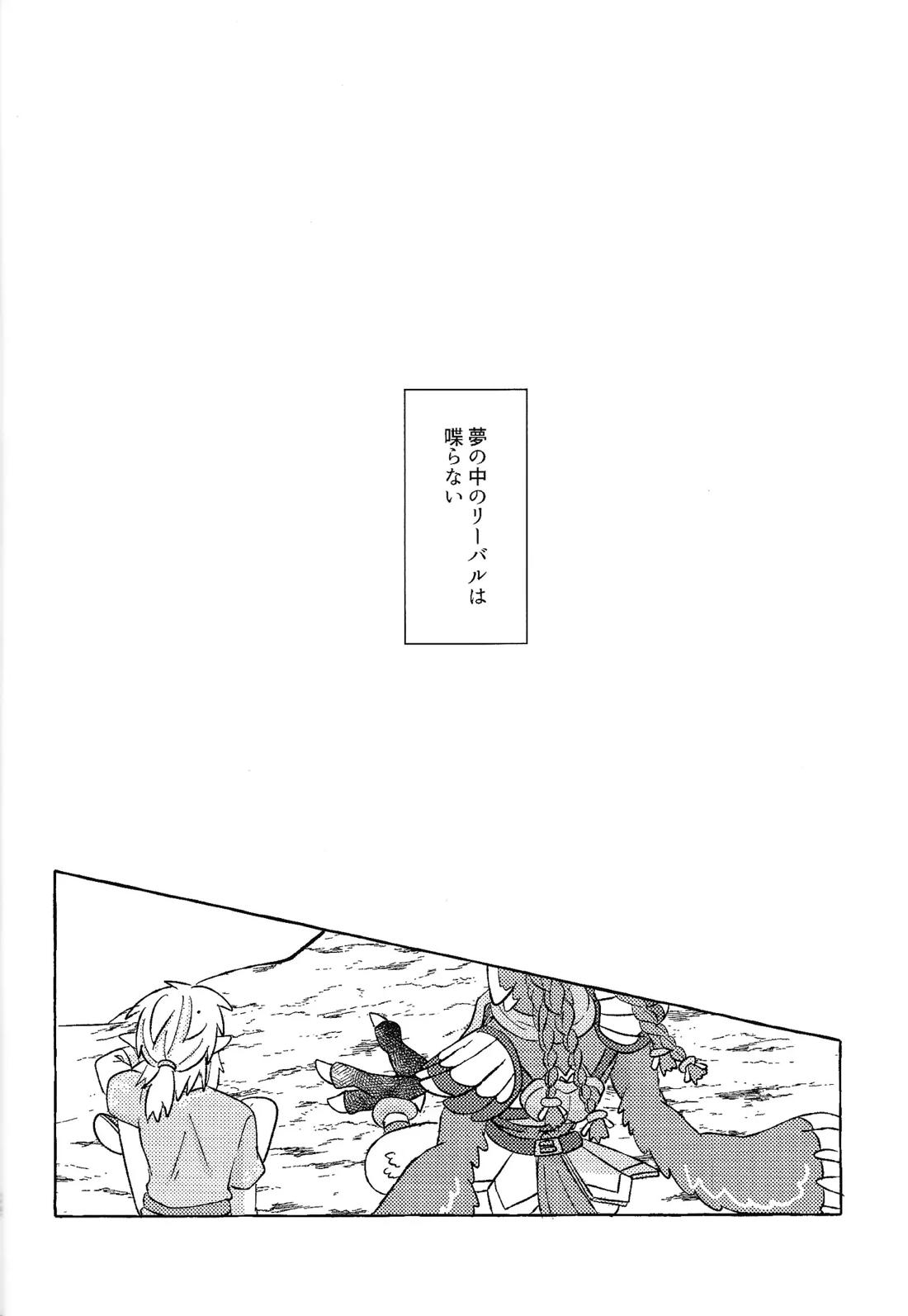 或るアイの話【ゼルダの伝説/リバリン】 page 23