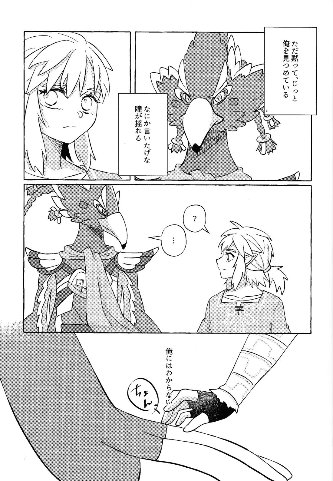 或るアイの話【ゼルダの伝説/リバリン】 page 24