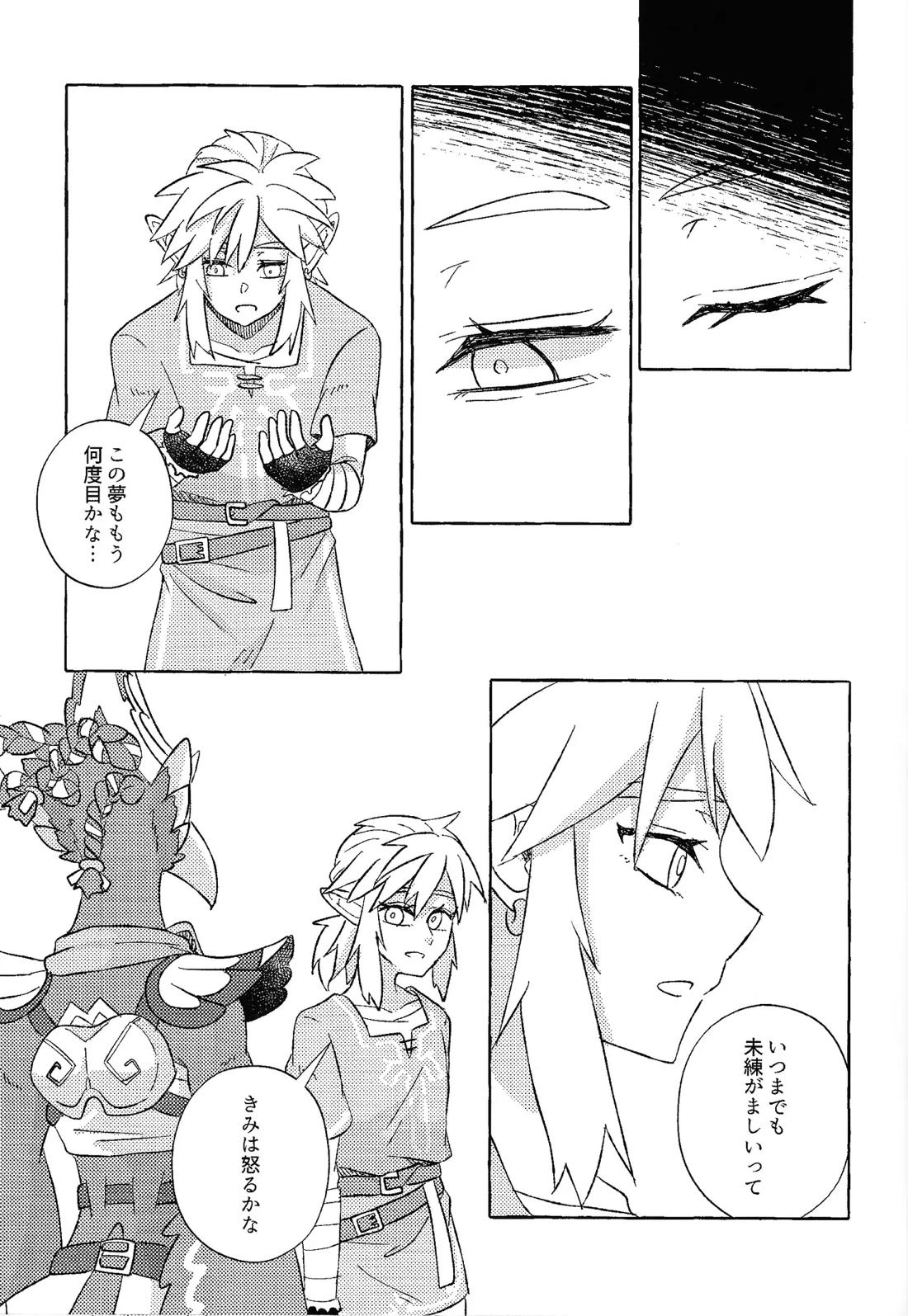 或るアイの話【ゼルダの伝説/リバリン】 page 26
