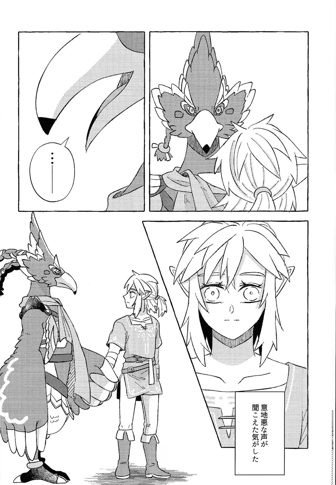或るアイの話【ゼルダの伝説/リバリン】 page 27