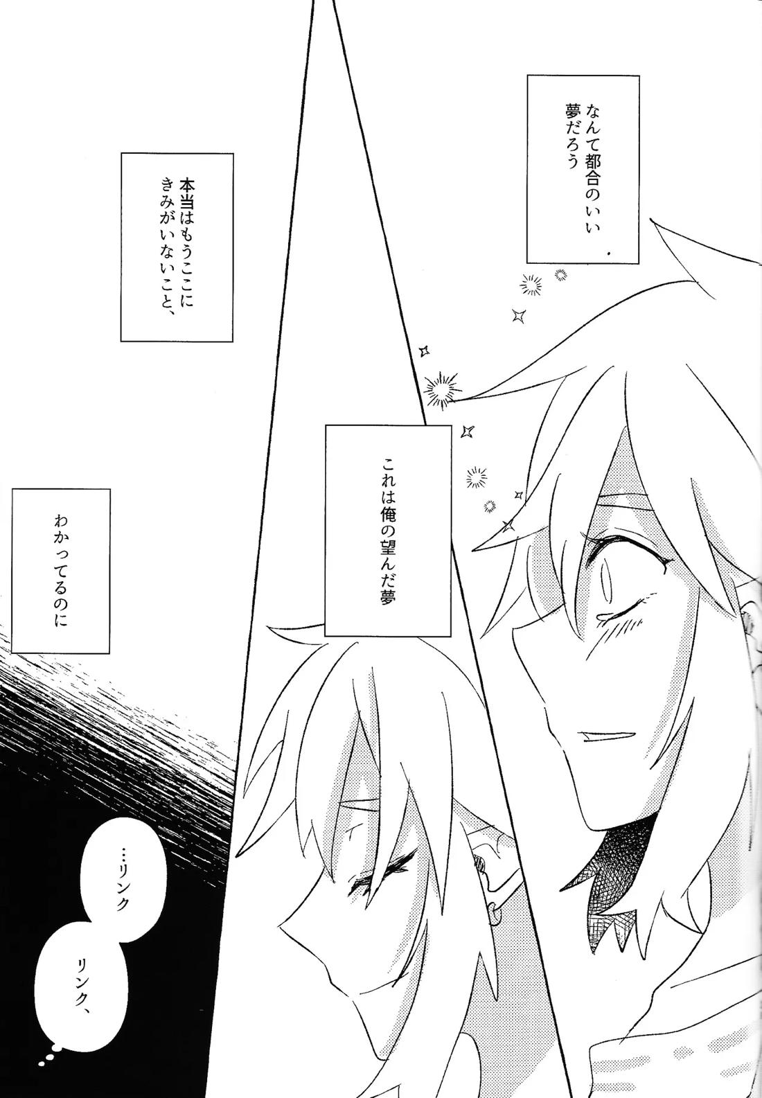 或るアイの話【ゼルダの伝説/リバリン】 page 28