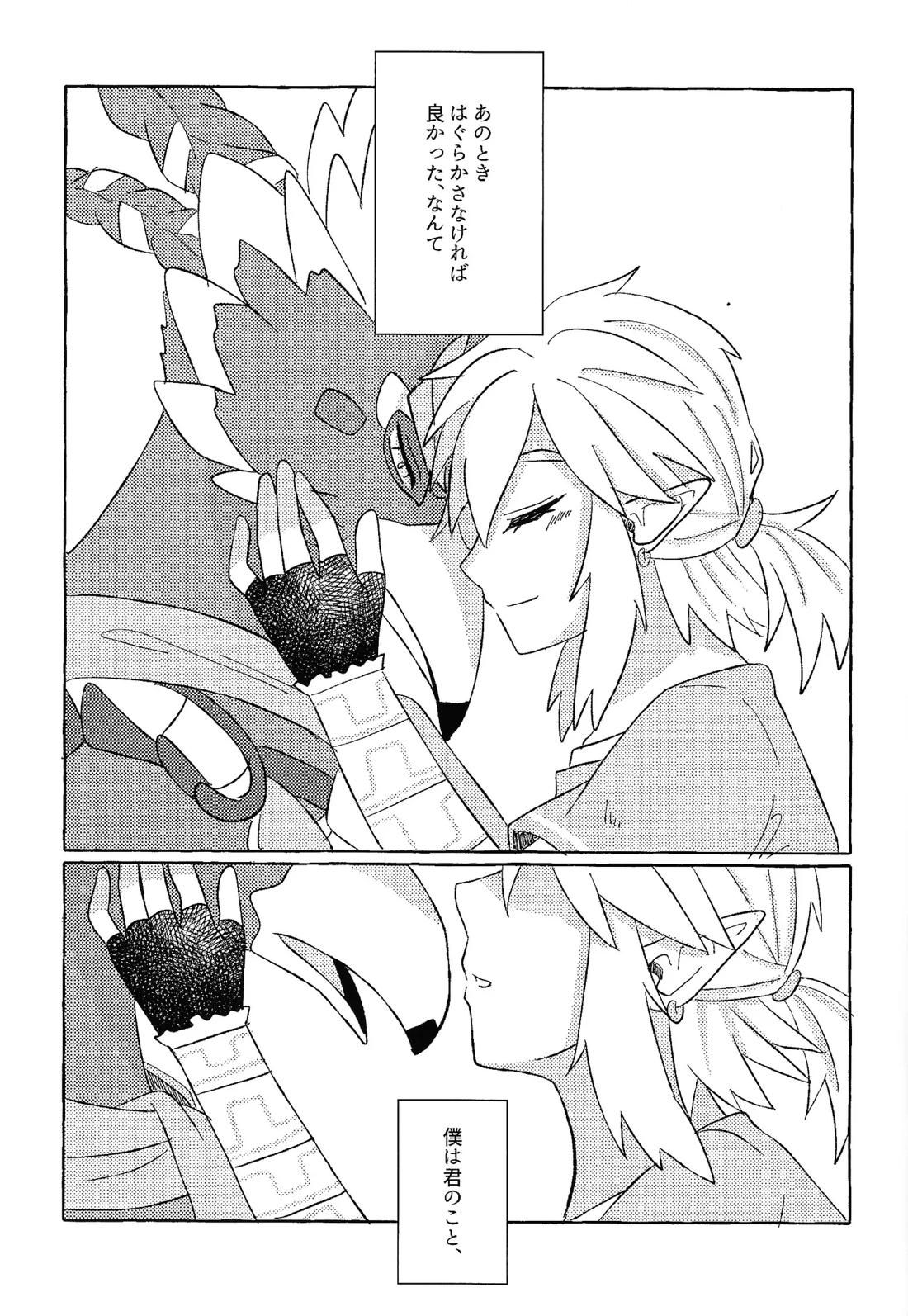 或るアイの話【ゼルダの伝説/リバリン】 page 30