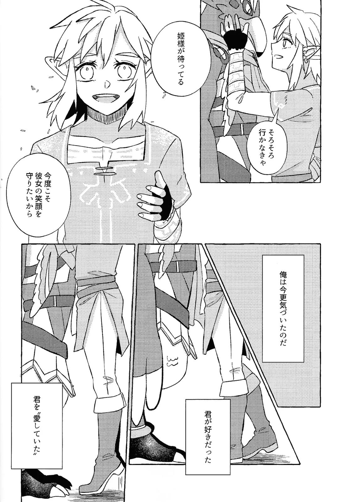 或るアイの話【ゼルダの伝説/リバリン】 page 31
