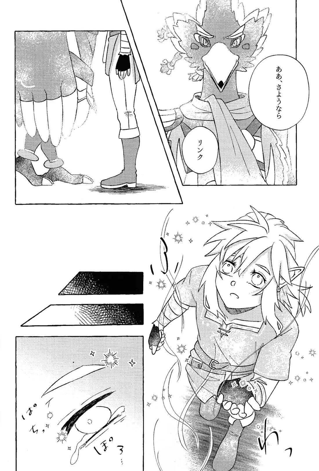 或るアイの話【ゼルダの伝説/リバリン】 page 35