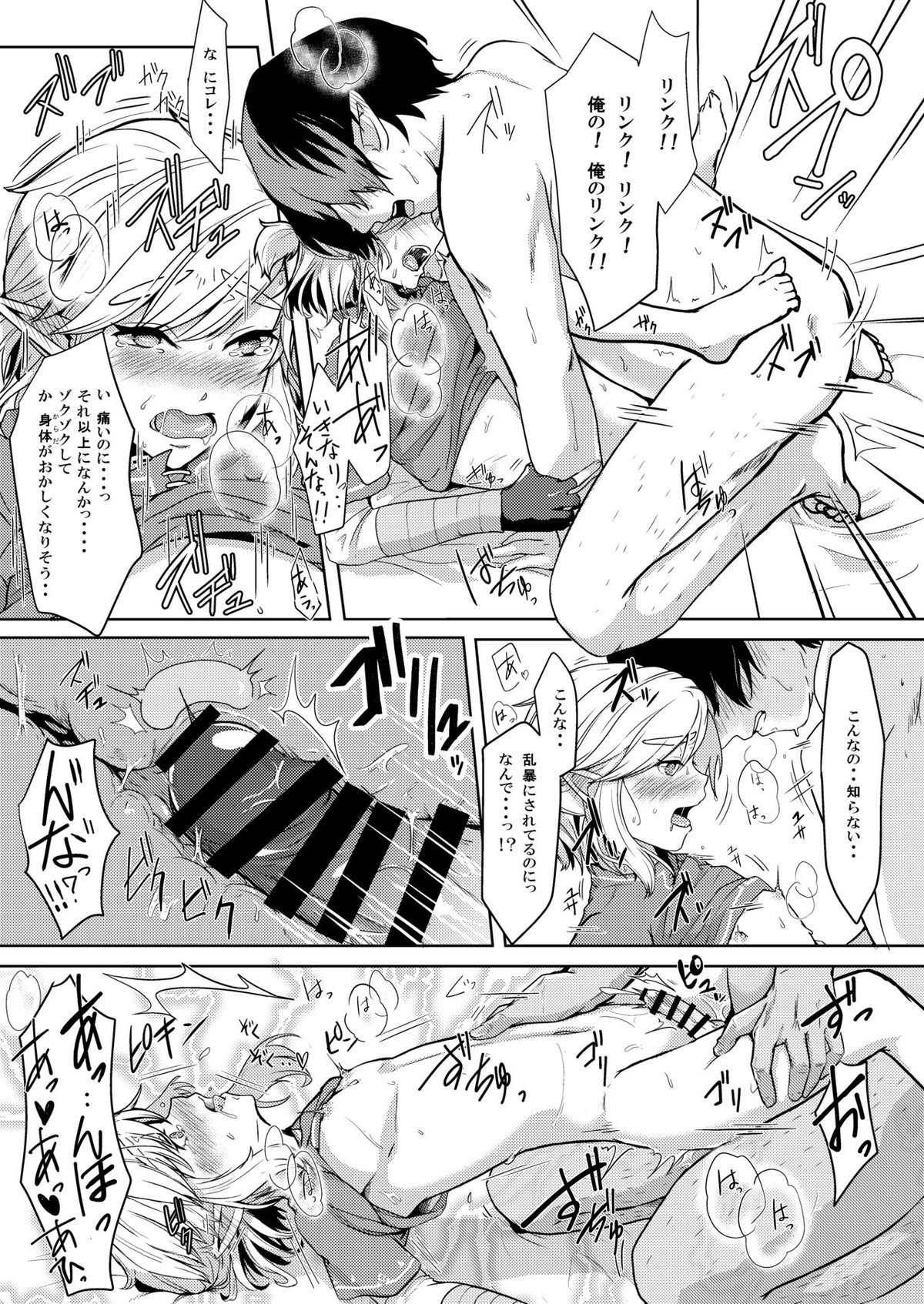 真夜中の勇者の淫らな献身【ゼルダの伝説/モブリンク】 page 13