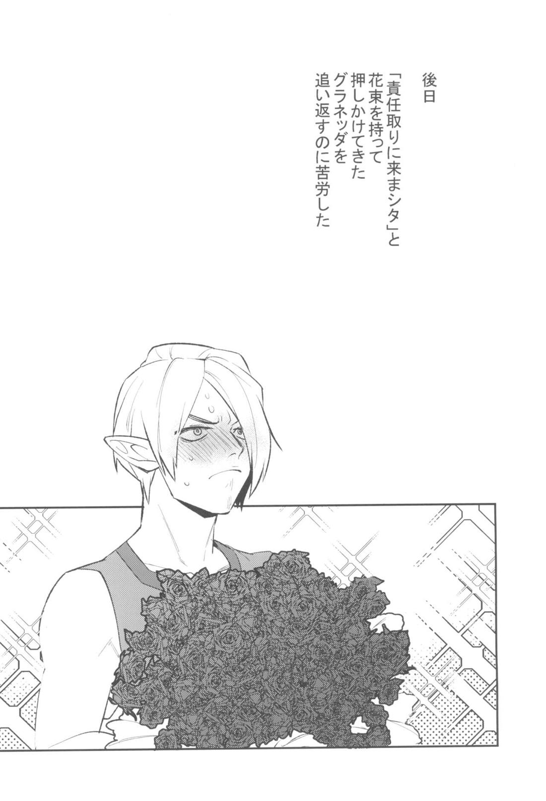 コンラン勇者【ゼルダの伝説/モブリンク】 page 23