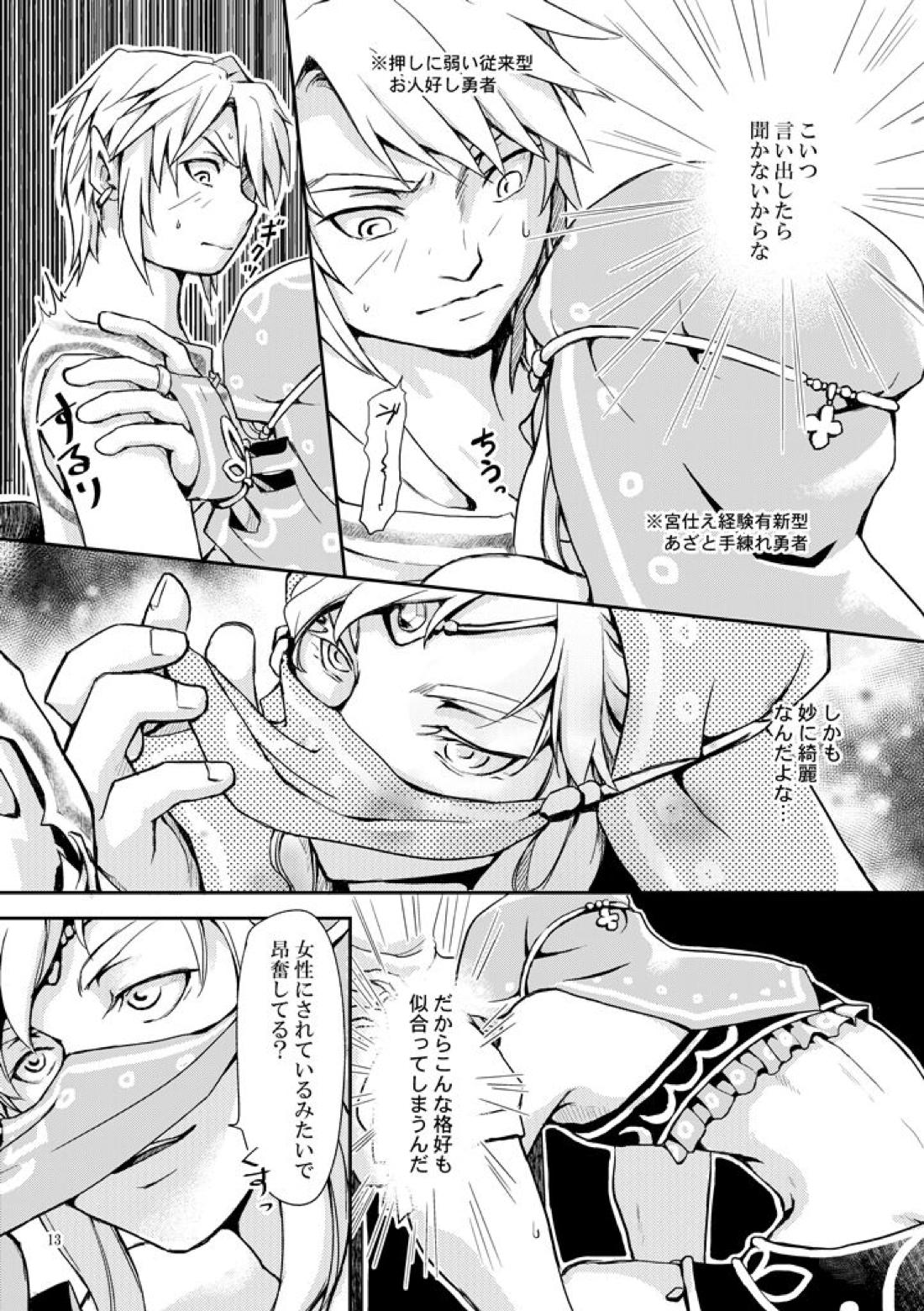 淑女の服でちょっぴりえっちに遊ぼ【ゼルダの伝説/ブレトワ】 page 11