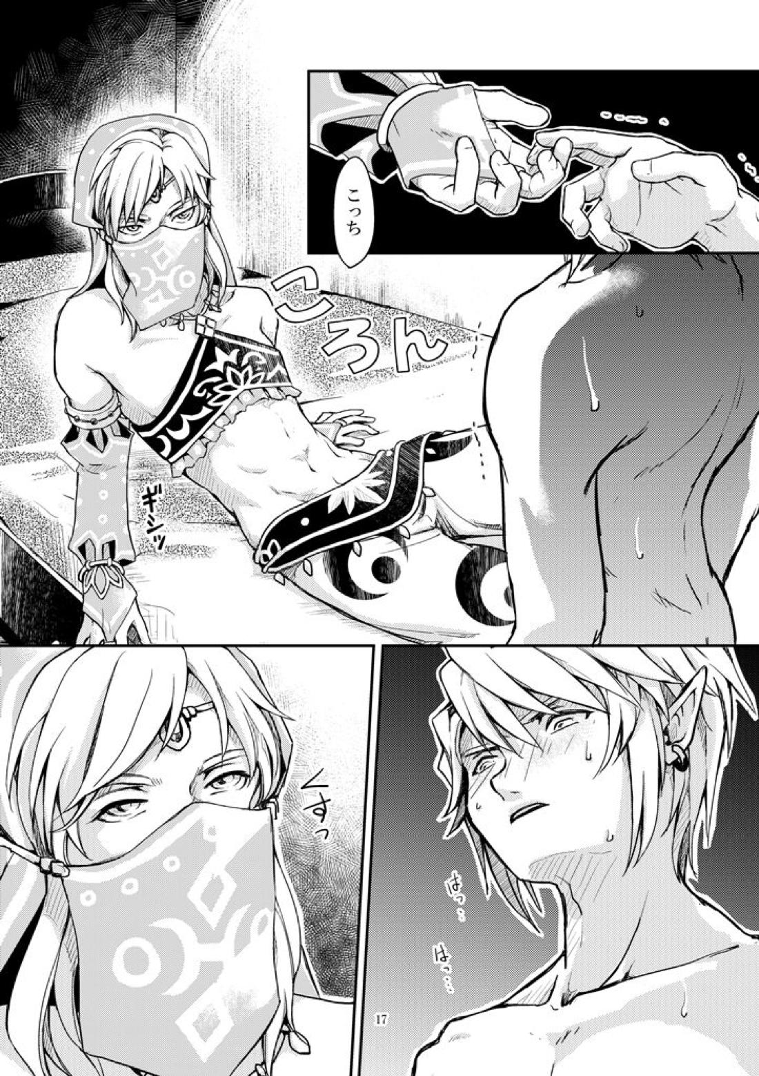 淑女の服でちょっぴりえっちに遊ぼ【ゼルダの伝説/ブレトワ】 page 15