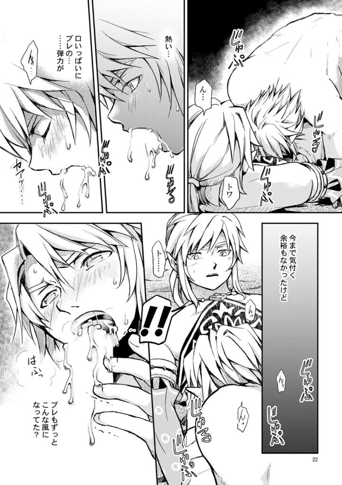 淑女の服でちょっぴりえっちに遊ぼ【ゼルダの伝説/ブレトワ】 page 20