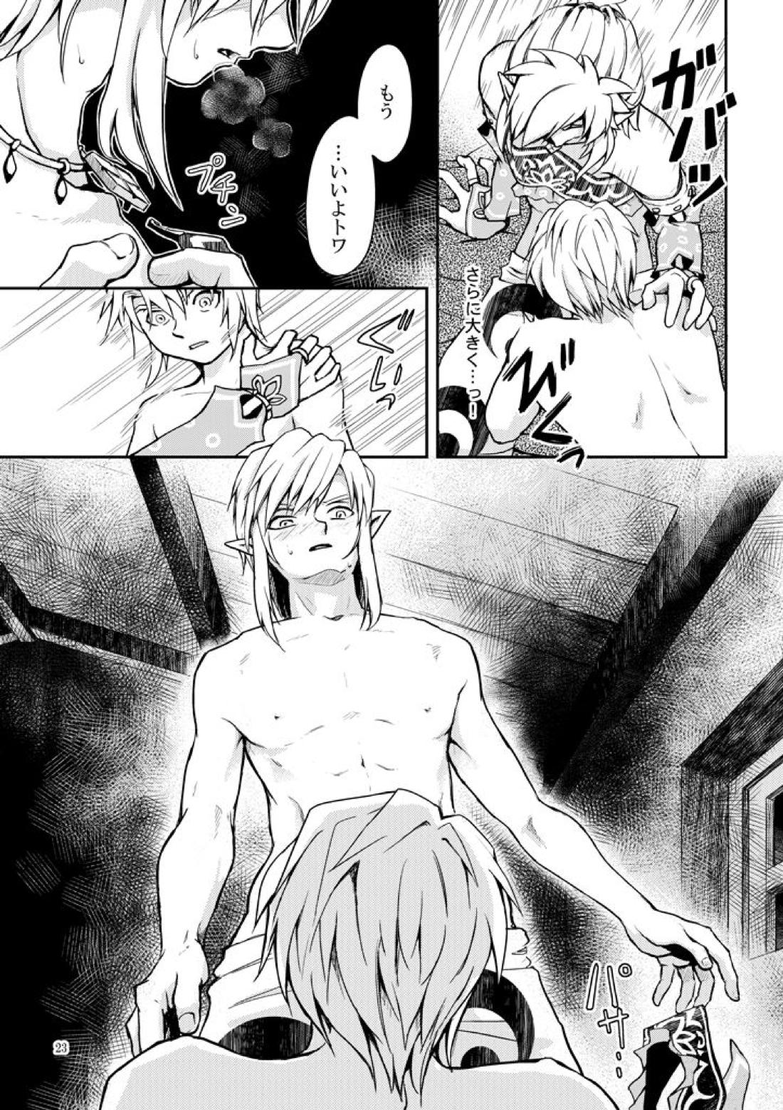 淑女の服でちょっぴりえっちに遊ぼ【ゼルダの伝説/ブレトワ】 page 21