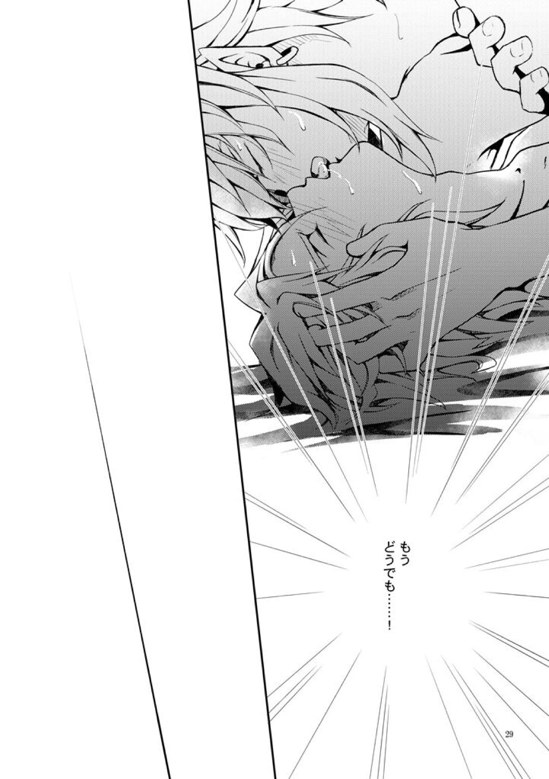 淑女の服でちょっぴりえっちに遊ぼ【ゼルダの伝説/ブレトワ】 page 27
