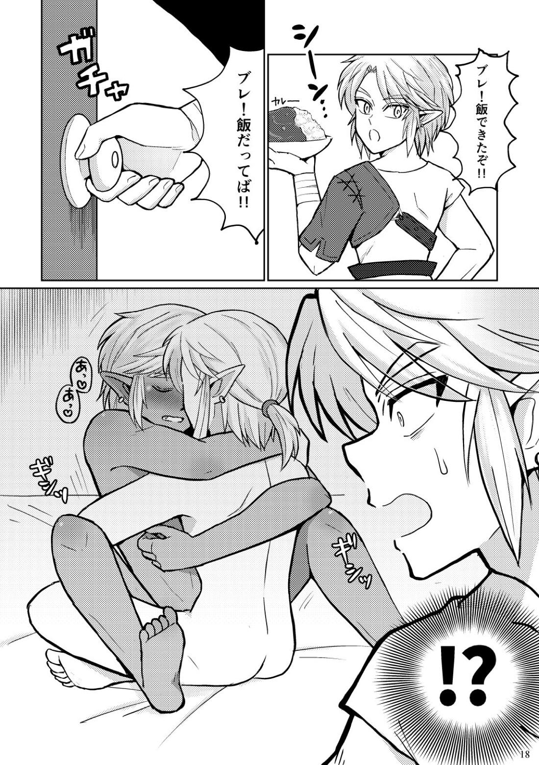 どっちがオオカミなんだかわからない。【ゼルダの伝説/ブレトワ】 page 18