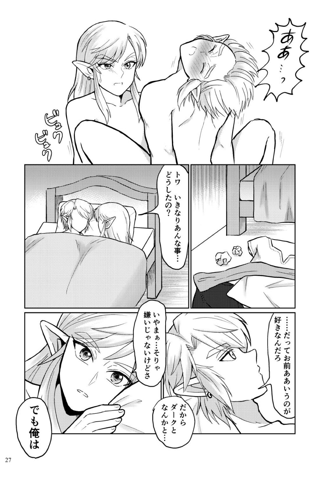 どっちがオオカミなんだかわからない。【ゼルダの伝説/ブレトワ】 page 27