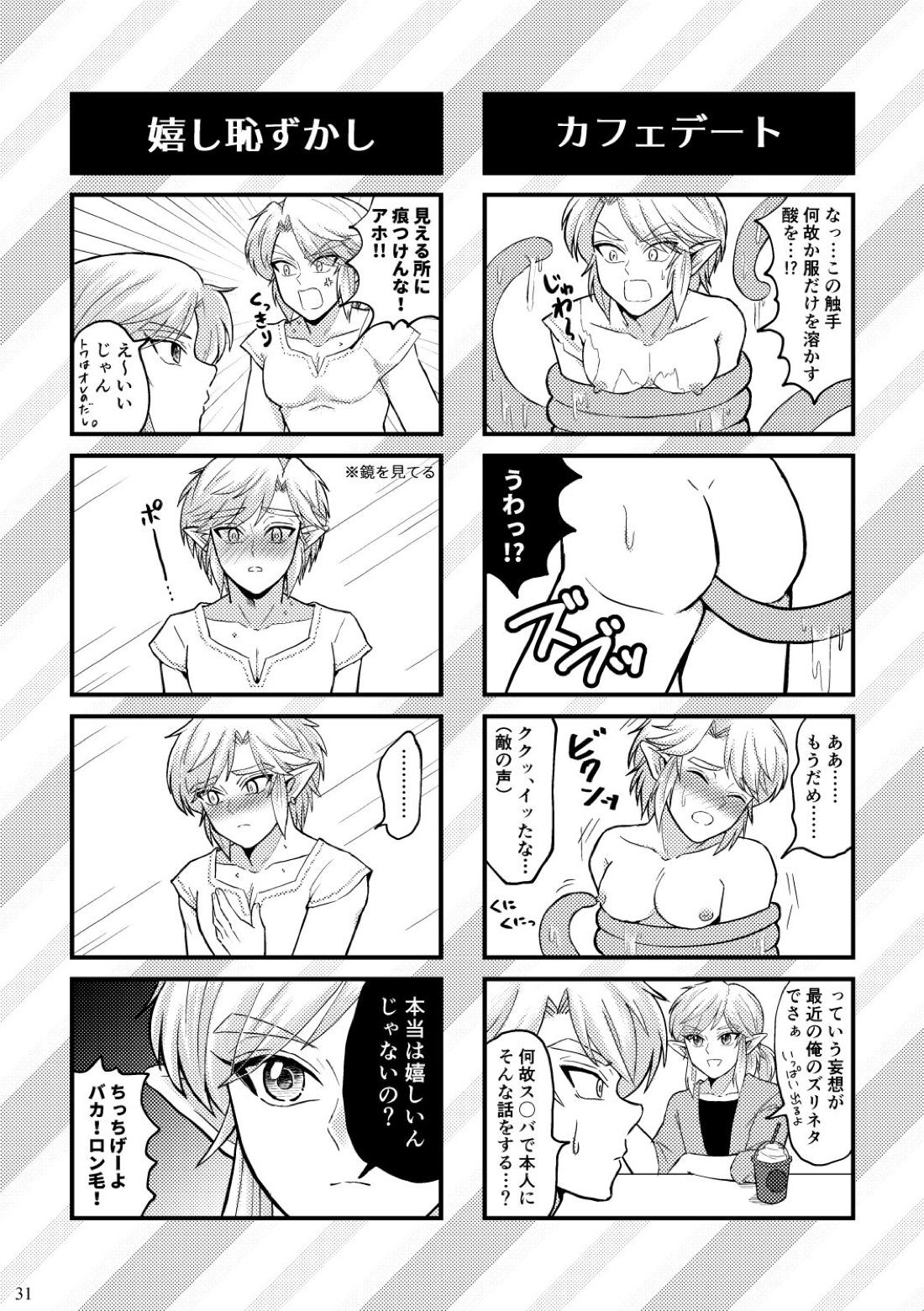 どっちがオオカミなんだかわからない。【ゼルダの伝説/ブレトワ】 page 31