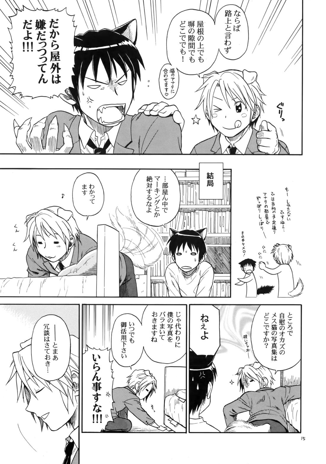 イヌネコハザード【涼宮ハルヒの憂鬱/古キョン】 page 14