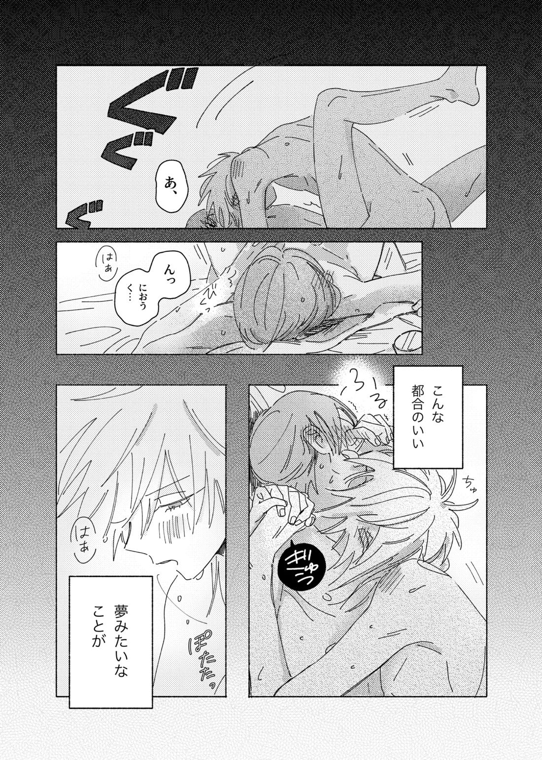 嘘だけど、夢じゃない。【テニスの王子様/28】 page 22