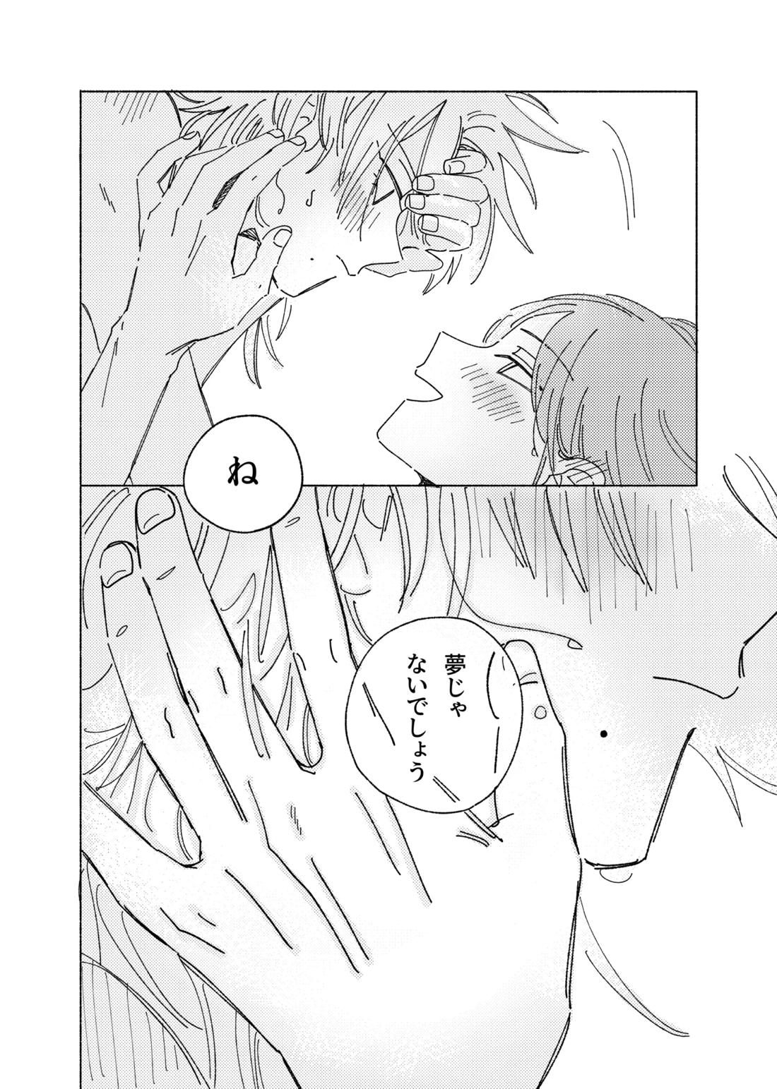 嘘だけど、夢じゃない。【テニスの王子様/28】 page 24
