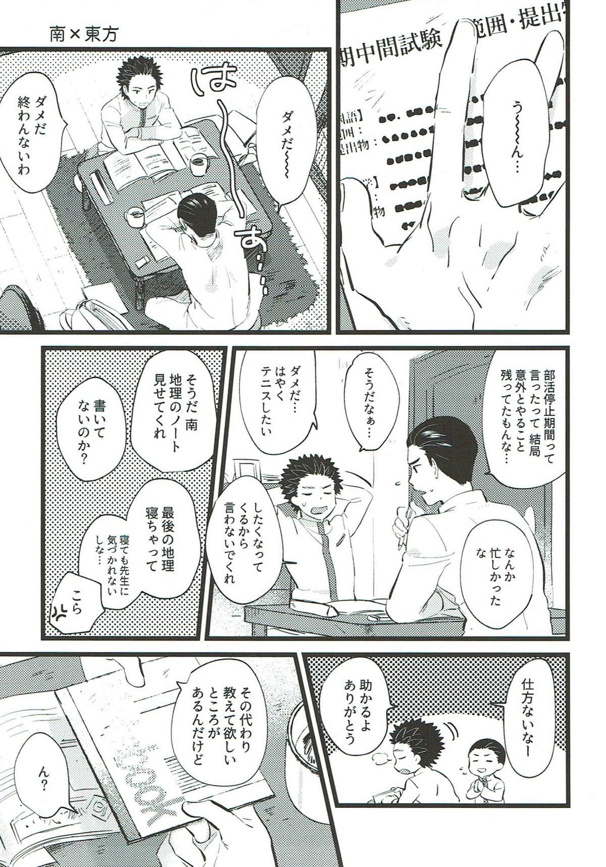 etcetera【テニスの王子様/東方×南】 page 20