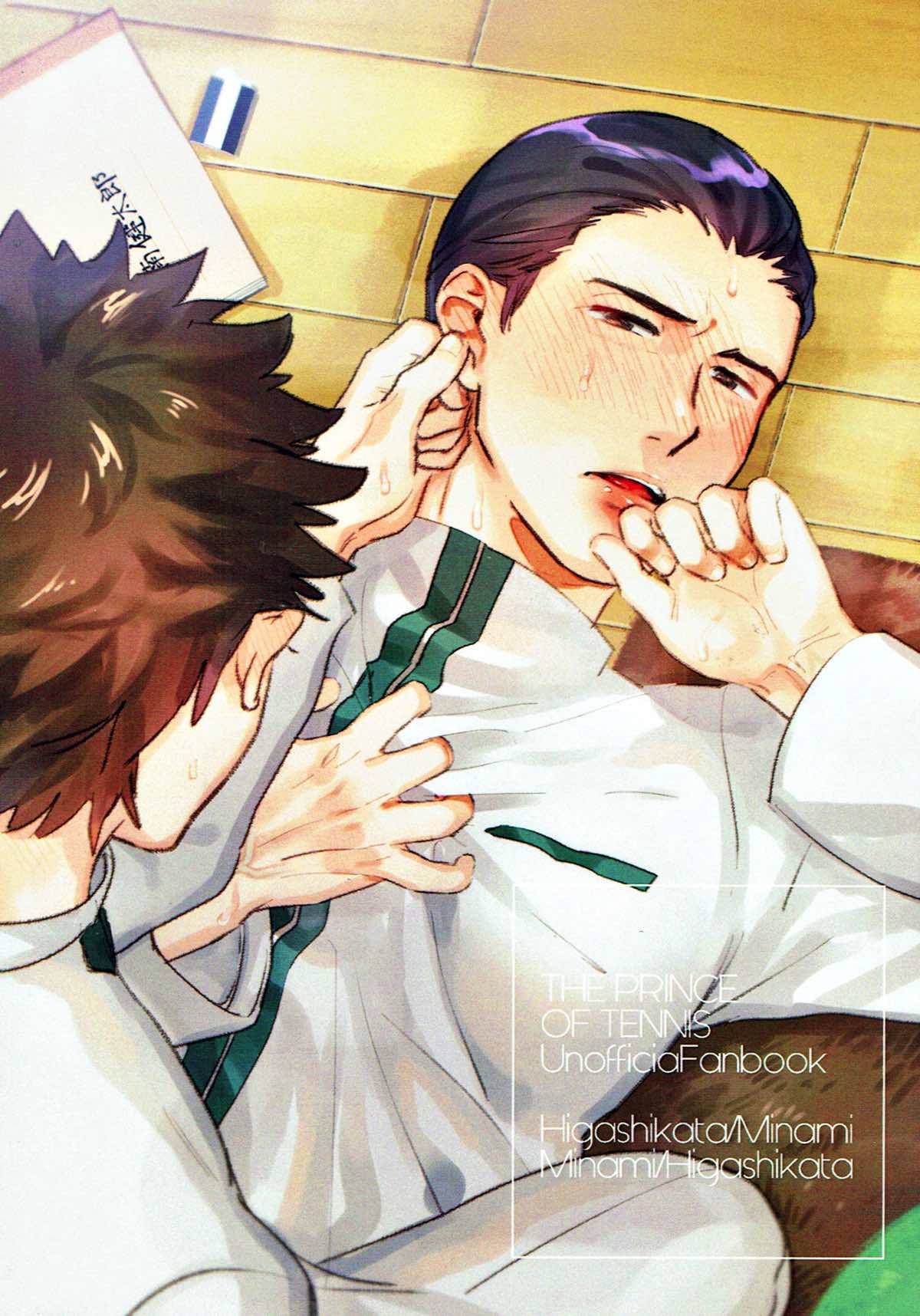 etcetera【テニスの王子様/東方×南】 page 38