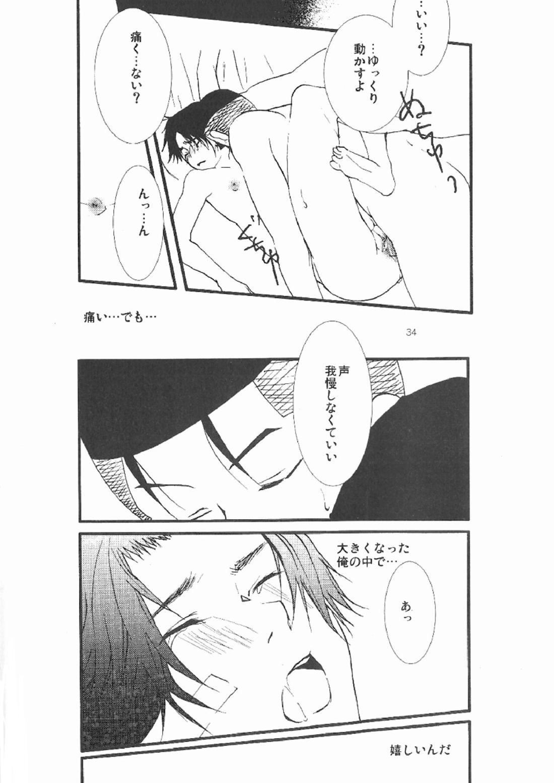 3236【テニスの王子様/大菊】 page 32