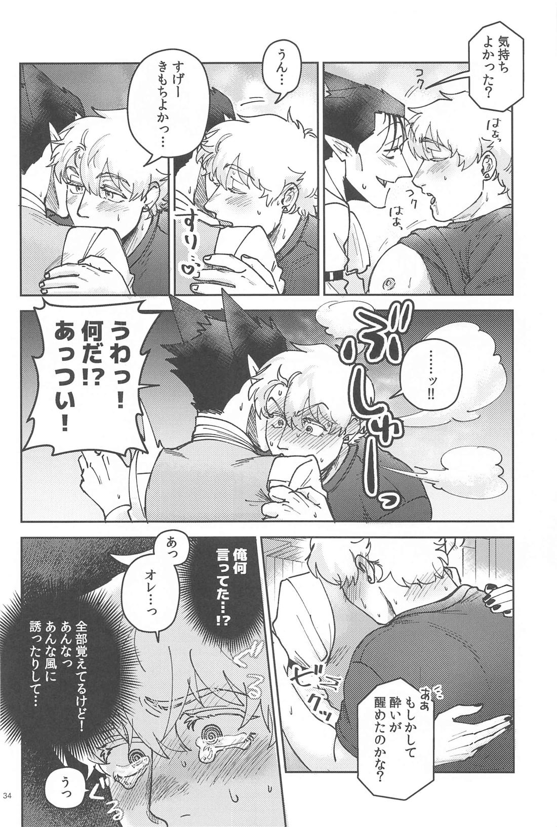 酔いが醒めたら【吸血鬼すぐ死ぬ/ドラロナ】 page 33