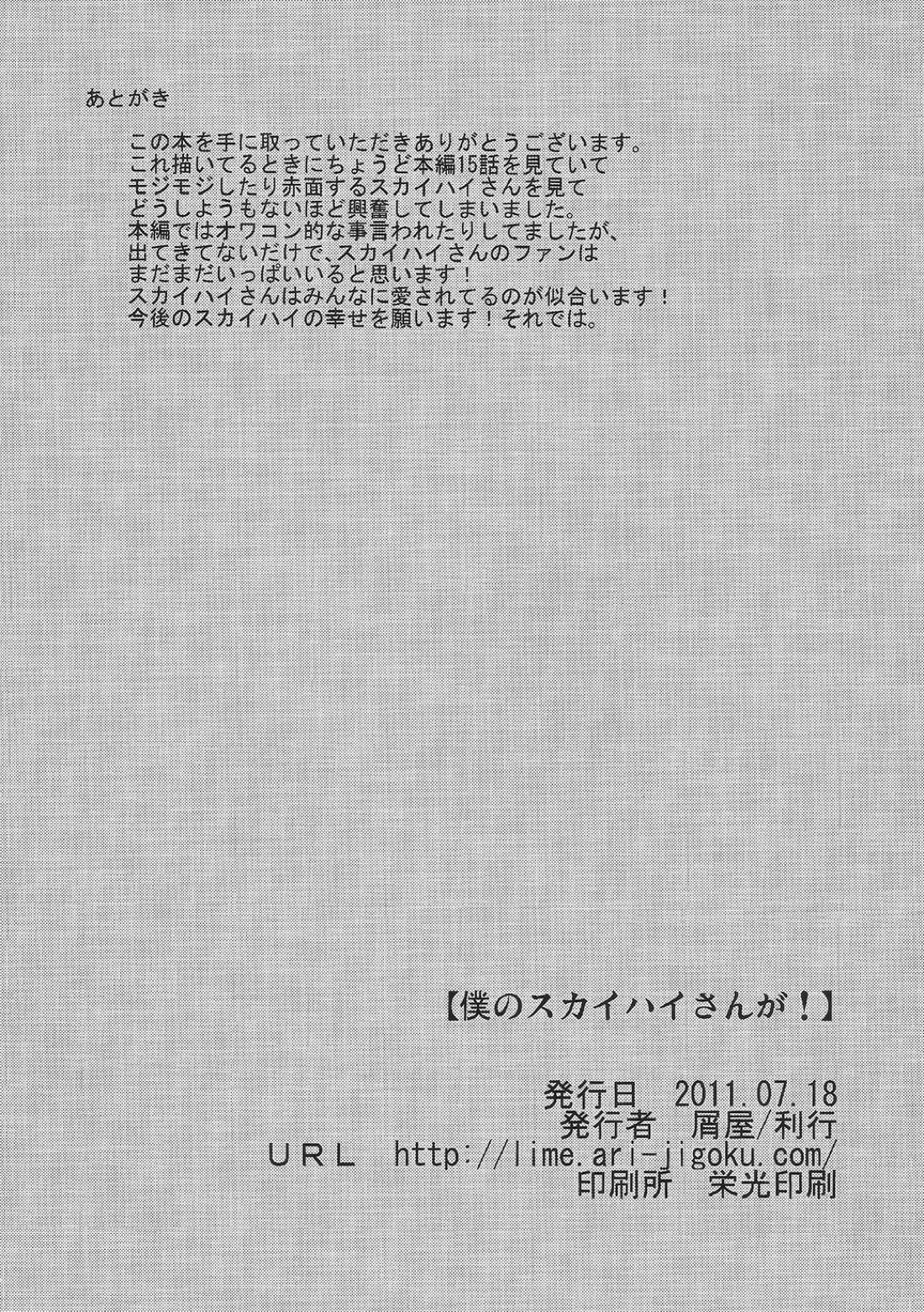 僕のスカイハイさんが!【TIGER＆BUNNY/モブ×スカイハイ】 page 17