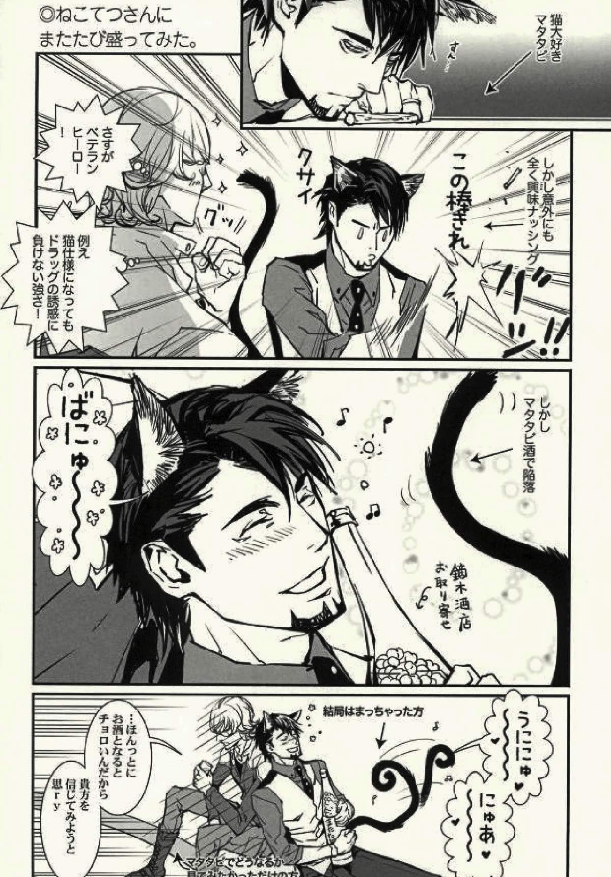 mewpurr hiss!【TIGER＆BUNNY/兎虎】 page 11