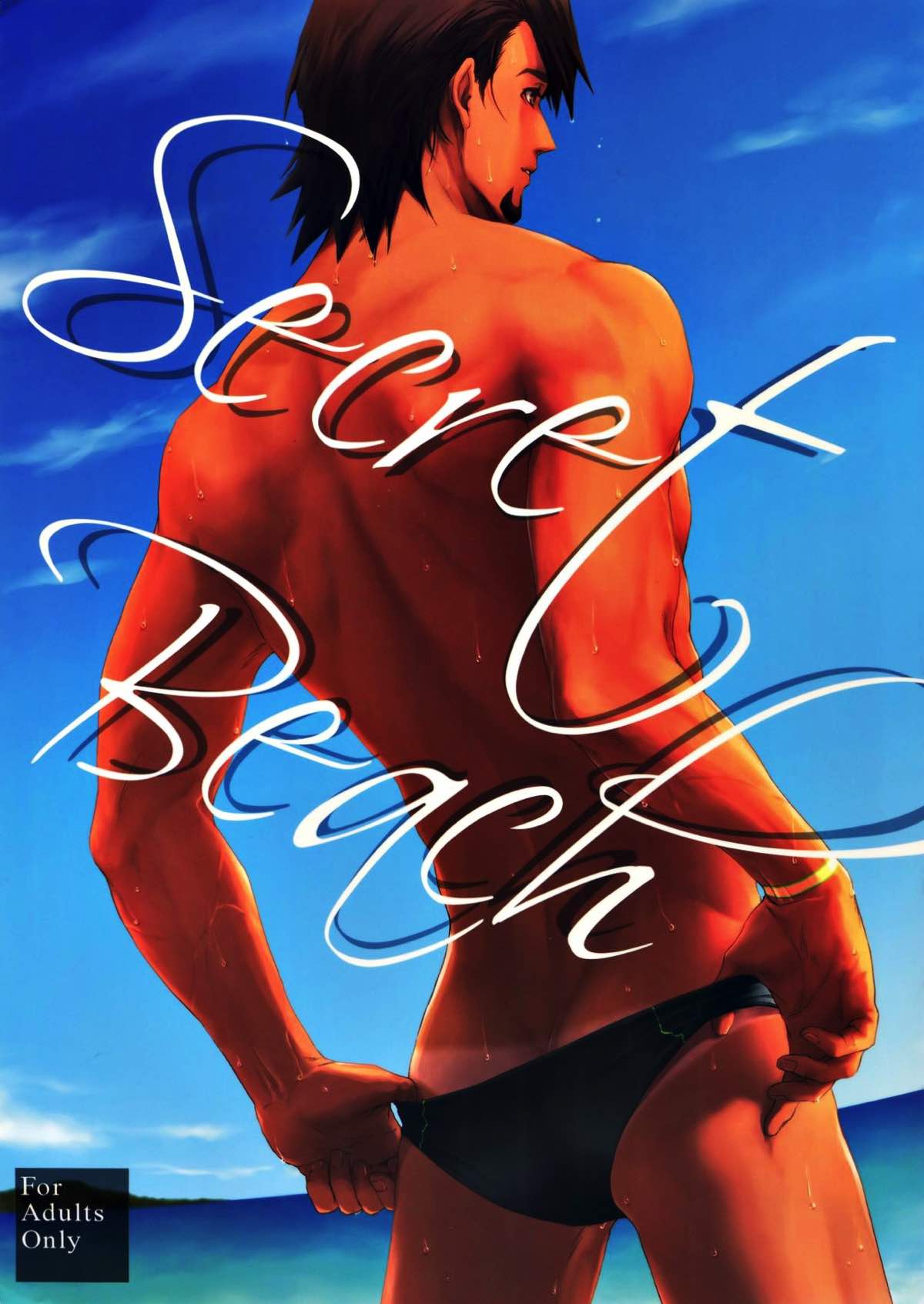 Recommended BL manga "Secret Beach【TIGER＆BUNNY/兎虎】" cover image