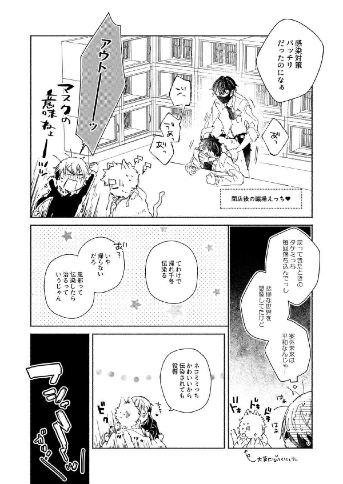 nyan nyan【東京卍リベンジャーズ/ふゆタケ】 page 11