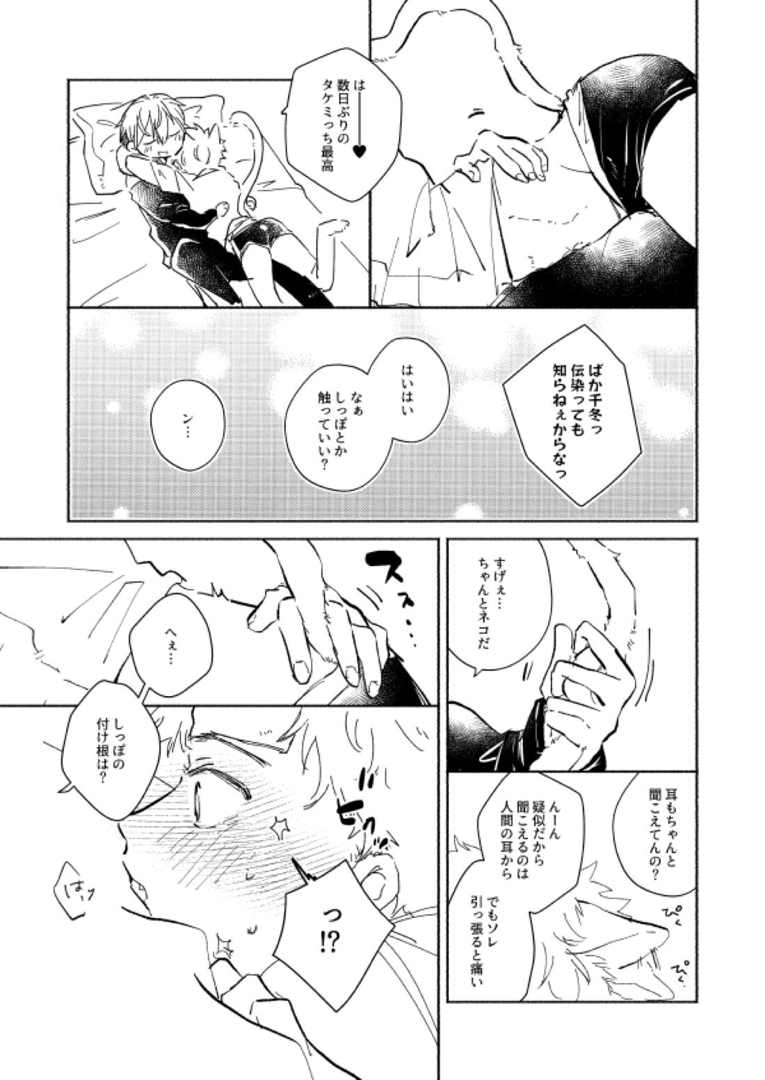 nyan nyan【東京卍リベンジャーズ/ふゆタケ】 page 14