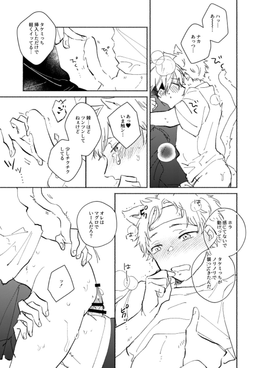 nyan nyan【東京卍リベンジャーズ/ふゆタケ】 page 20