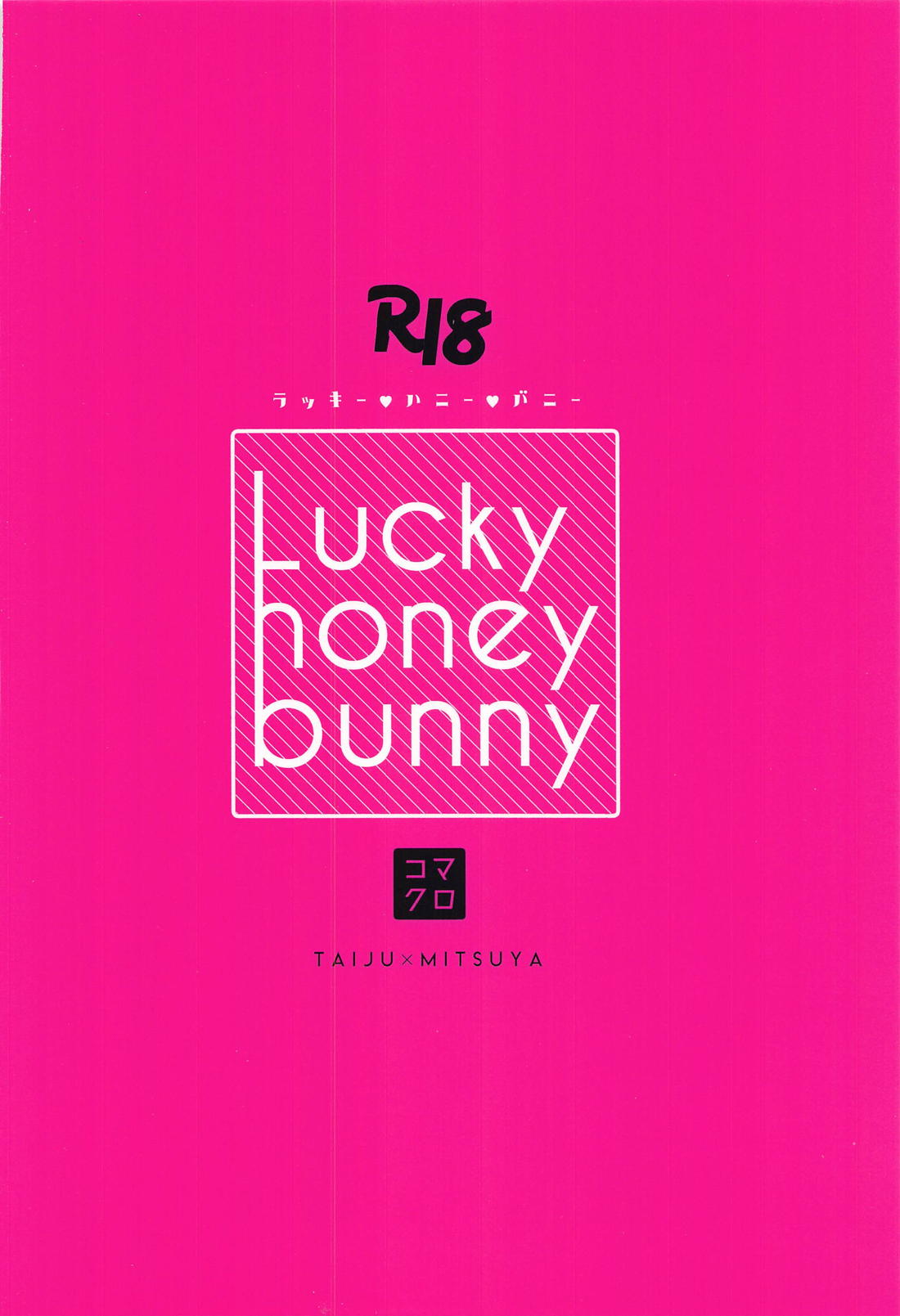 lucky honey bunny【東京卍リベンジャーズ/たいみつ】 page 26