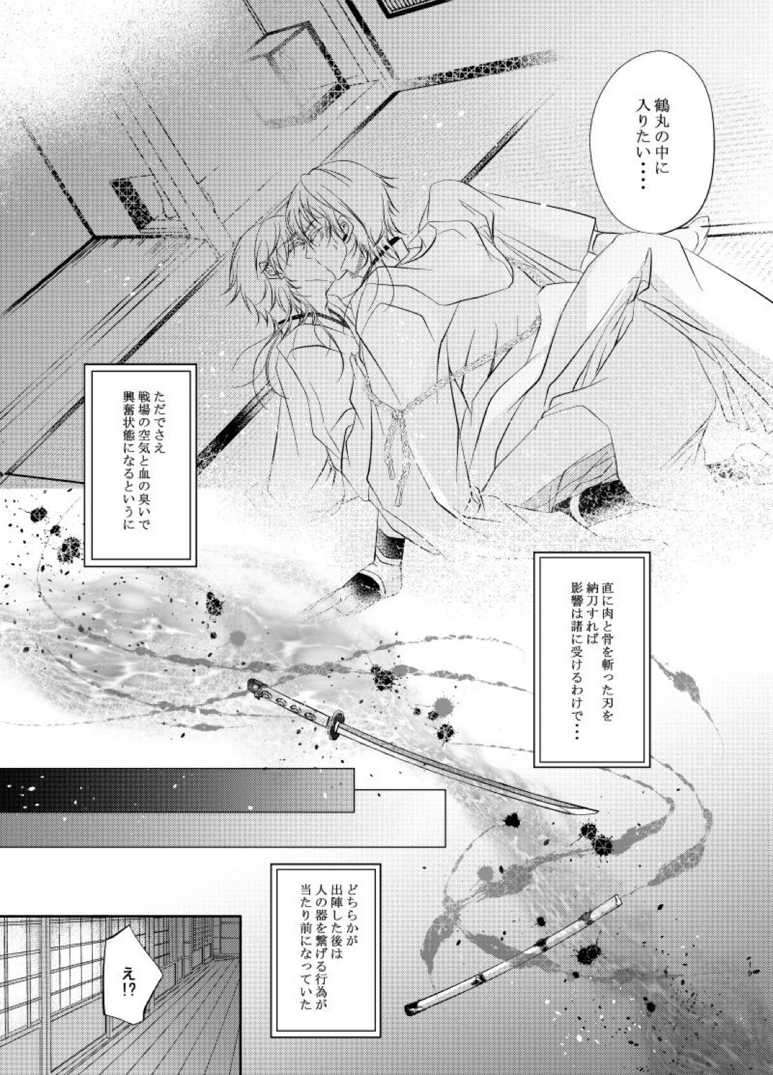 双子鶴【刀剣乱舞/つるつる】 page 18